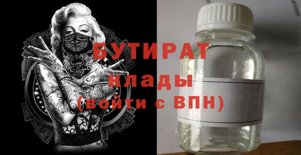 твердый Бородино