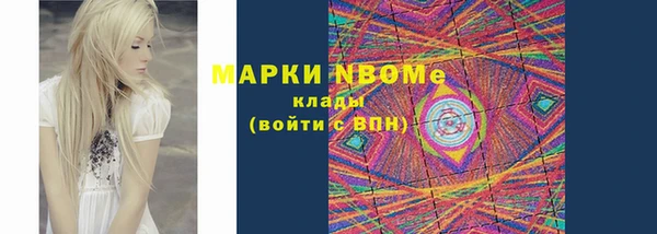 твердый Бородино