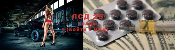 твердый Бородино
