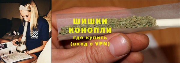 твердый Бородино