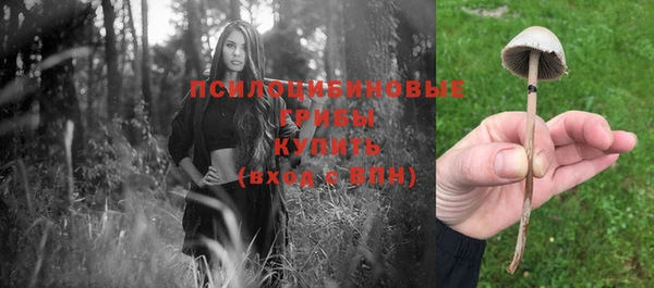 прущая мука Бугульма