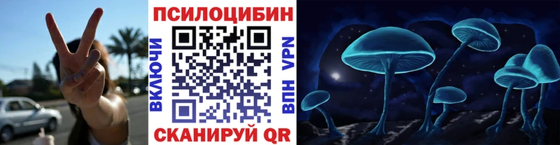 это как зайти  кракен как войти  Волжский  Псилоцибиновые грибы Magic Shrooms 